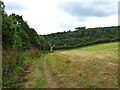 A quiet path in Whisper Dales