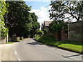 Lane heading east past Norton Manor