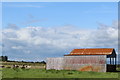 Shed at Marchdyke