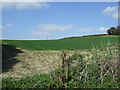 Farmland, Rylah Hill