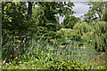 Monet Garden, Highnam Court Gardens