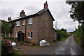 North Devon : Country Lane