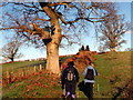 Llwybr Caeau Gwynion / Caeau Gwynion path