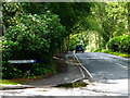 Looking southwards on Hatches Lane from Glendale Park