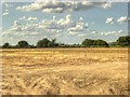 Farmland near Marston