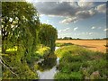 SK8943 : River Witham from Marston North Bridge by David Dixon