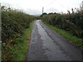 Minor road near Auchencairn