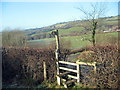 Llwybr Parc Side / Parc Side path