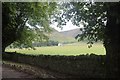 Field by the drive to Inverbroom Lodge