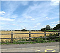 Fields off the A120 Coggeshall Road