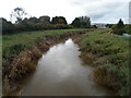 Downstream along the Parrett, Bridgwater