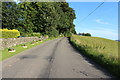 Road to Dunscore from Wallaceton