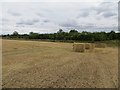 Square bales