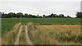 Farm road, Cranley