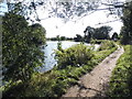 The Thames Path at Shepperton