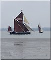 TR0567 : Sailing-barge 'Edme' and fishing-smack 'Emeline' in the 2014 Swale Match by Stefan Czapski