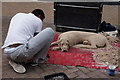 Sand Sculpture  on Whitefriargate, Hull