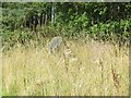 Gallowhill stone circle