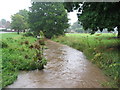 The brookstray in the rain