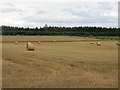 Round bales near Strelitz