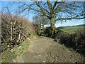 Hen heol Ffarm Llysonnen / Llysonnen Farm old road