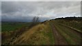 Footpath along High bank.