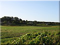 Country near Woodcroft, from the A48