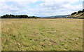 SE0488 : Rough Pasture below Nossill Scars by Chris Heaton