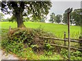 Footpath to the east of Stone Road at Trentham