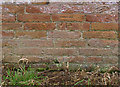 Bench mark, Ide Farm barn, Laxton