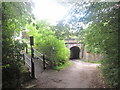 Bridge at Strines railway station