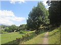 Footpath towards Mill Brow from Townscliffe farm