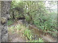 Dollis Brook near Mays Lane