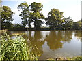 Long Pond on Totteridge Common