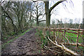 Laid hedge by bridleway