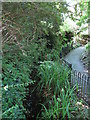 Stream and path in Roker Park