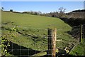 SE2862 : Sheep pasture, Cayton Gill Farm by Derek Harper