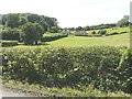 Looking west from a country lane