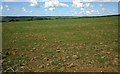 Field near Keason