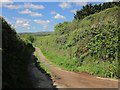 Bridleway, Venn Farm