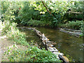 River Crane