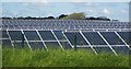 SX3166 : Solar farm, Great Ley by Derek Harper