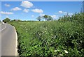 Roadside bank, A390