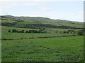 View towards Brown Carrick Hill