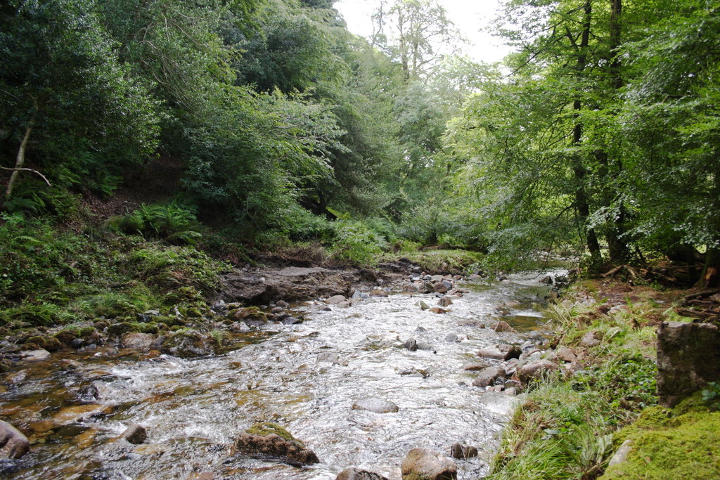 River Yealm in Dendles Wood © Guy Wareham :: Geograph Britain and Ireland