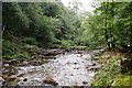 River Yealm in Dendles Wood