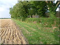 Farmland near Normanton Cottages