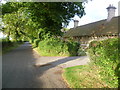 Lane alongside Normanton Cottages