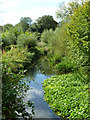 Former mill pond, Hounslow Powder Mills site