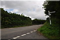 North Devon : Country Lane